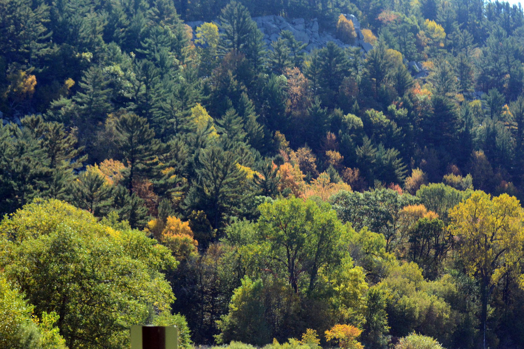 Baraboo area fall color, Oct. 8, 2020